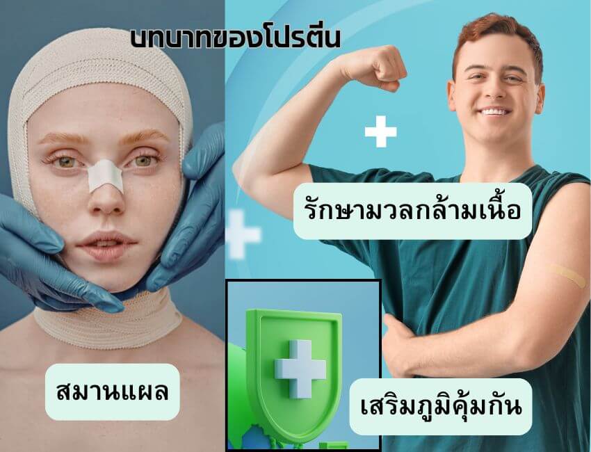 ประโยชน์ของโปรตีนต่อผู้ป่วยระยะพักฟื้นและหลังผ่าตัด