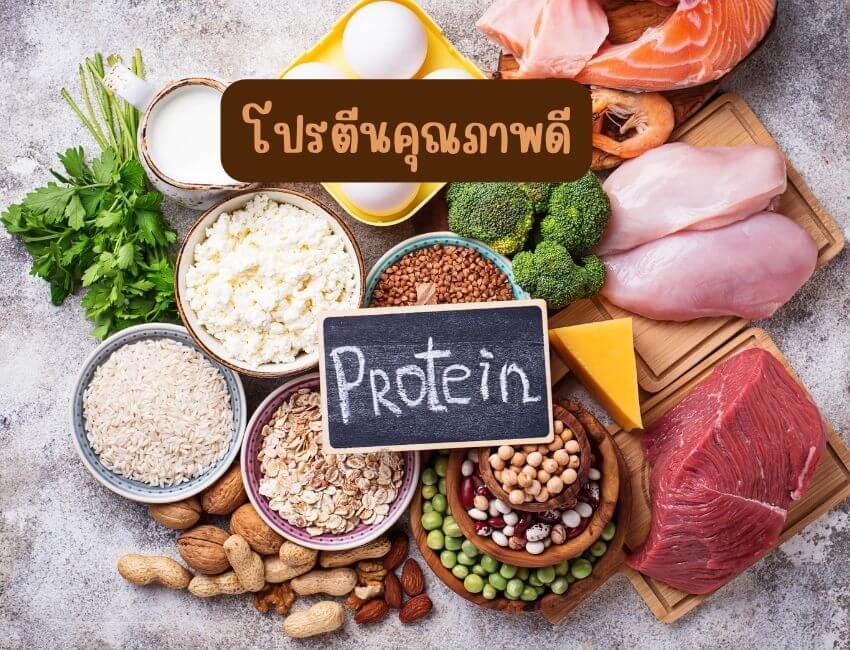 อาหารโปรตีนคุณภาพดี