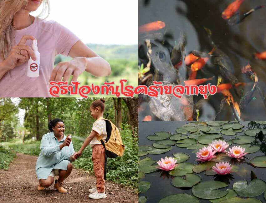 วิธีป้องกันยุงกัด
